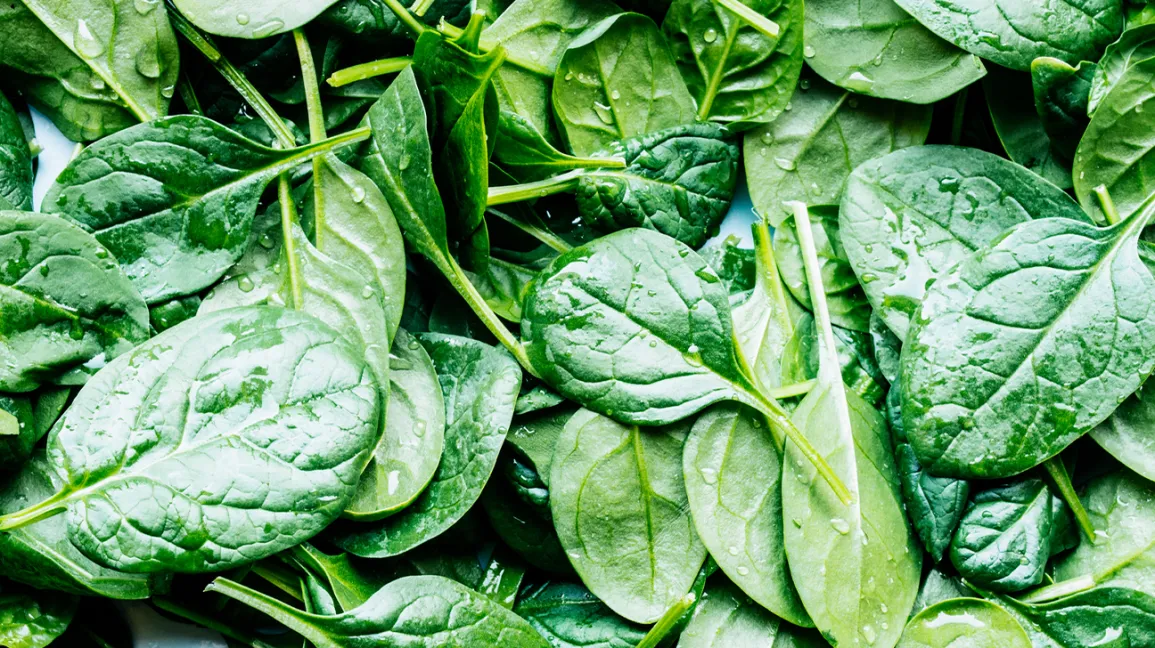 Horancho/Spinach / Palak / Palank