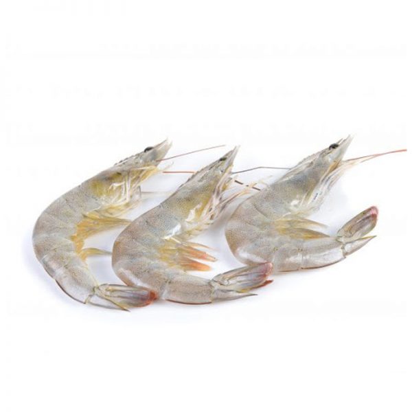 Shrimp U 40-50pcs 2X250gm