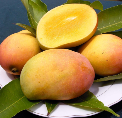 Ripe Mango/ Paka Aam