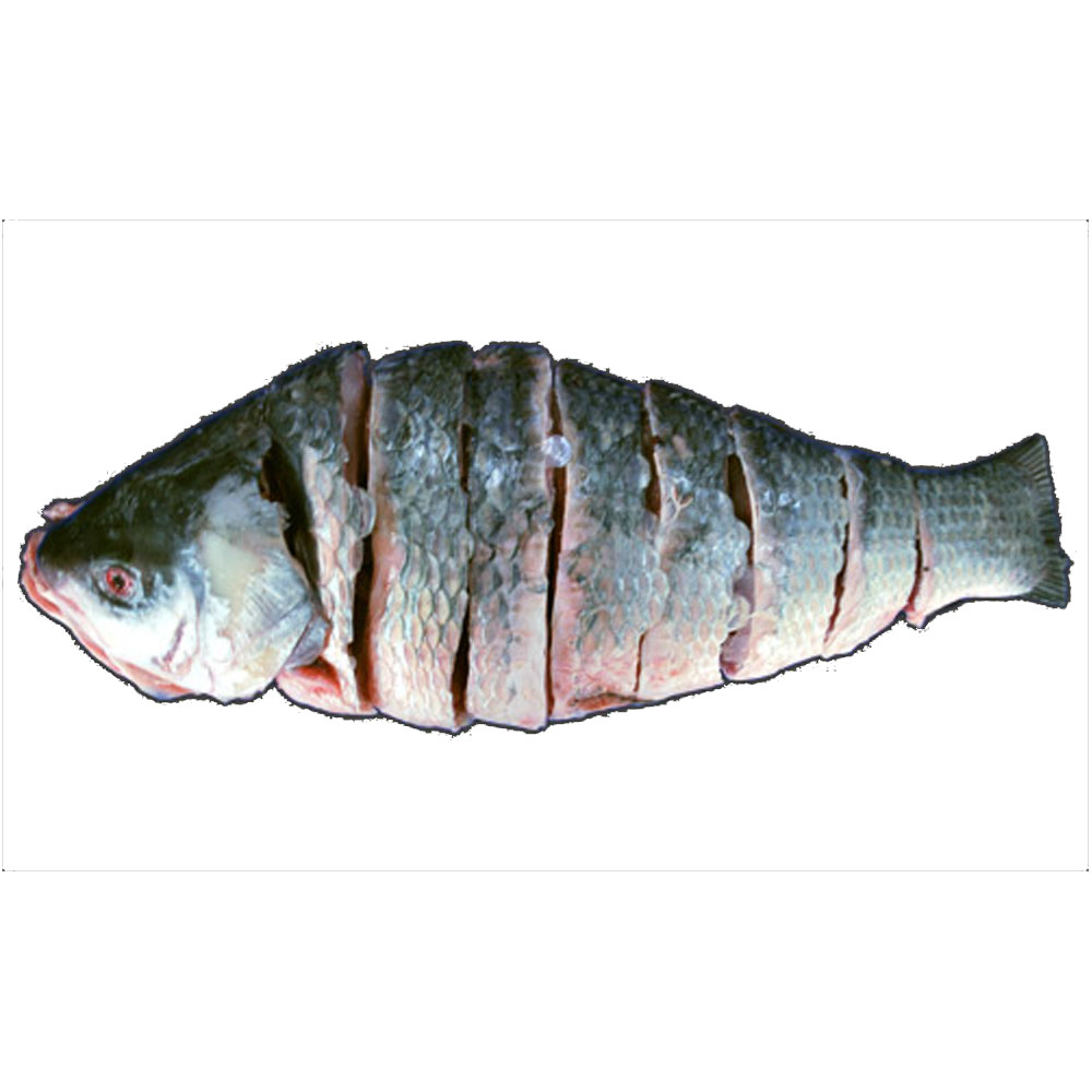 Katla Whole Cut *With Fresh Shad (Taste)3kg [Price Variable]