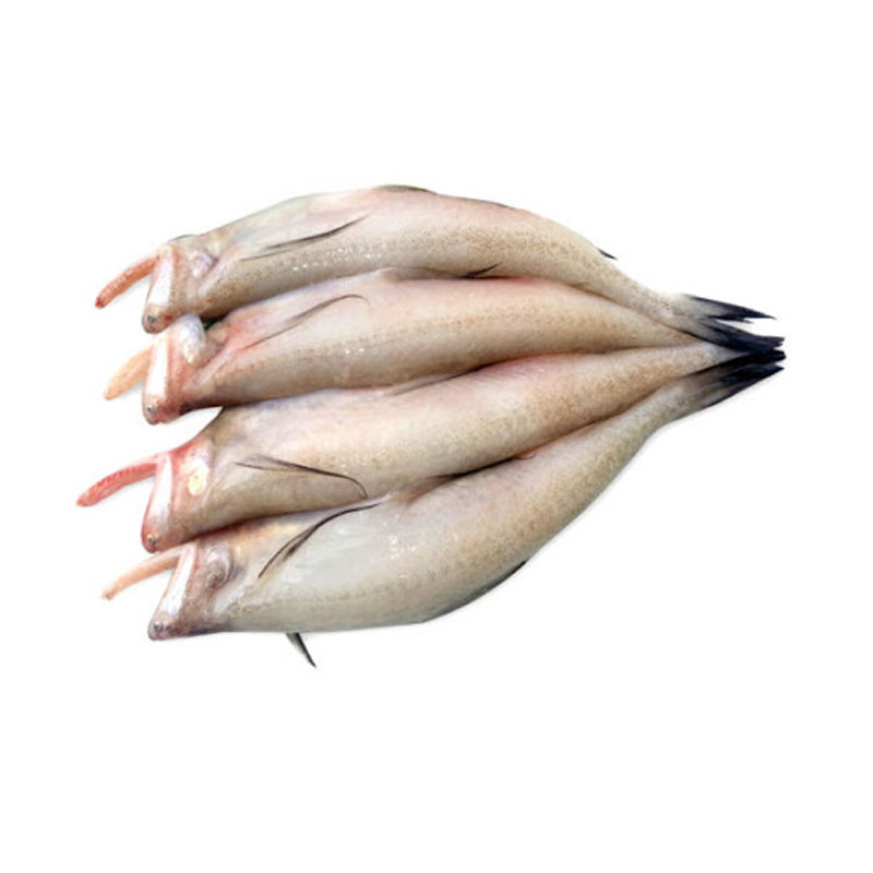 Lotia Fish (In Ice Block) (Cleaned)