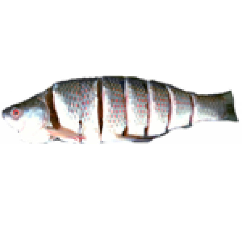 Ruhi Whole  Cut *With Fresh Shad (Taste)* :: 5.0-5.01kg [Variable Price]