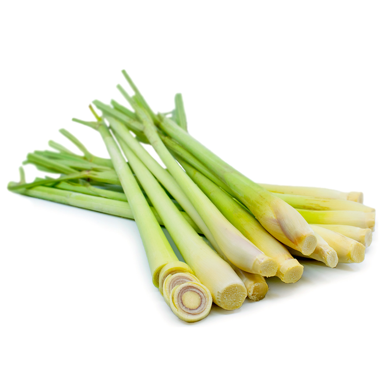 Lemon Grass /Duan Sereh (Frozen)