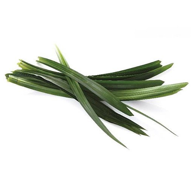 Pandanus Leaf (Polao Pata / Daun Pandan / Screwpine / Rampe)>> Frozen