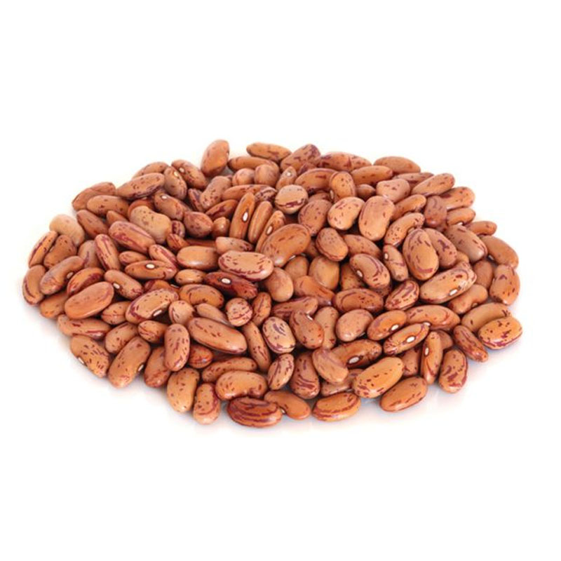 Pinto Beans